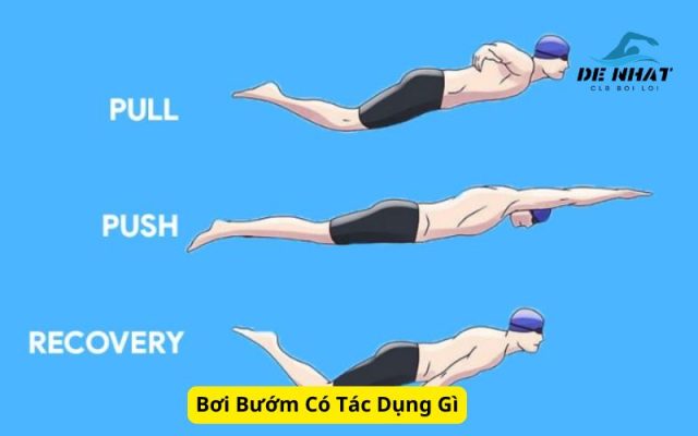 Bơi Bướm Có Tác Dụng Gì